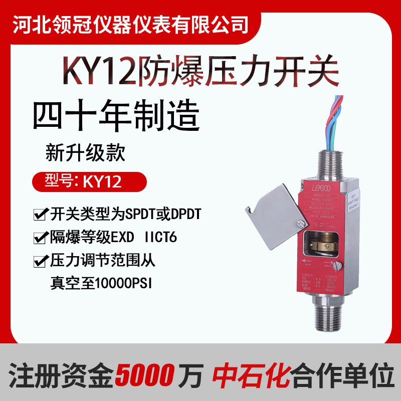 河北领冠源头 常用型 隔爆型压力开关 真空-10000psi材质:不锈钢图2