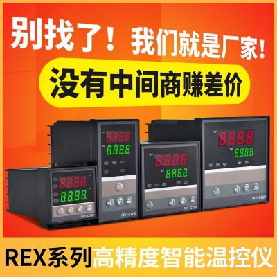 智能温控器REX-C100400700900MV*AN温控仪表温度恒温控制厂家供应