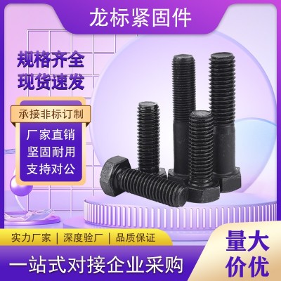 8.8级碳钢发黑高强度外六角螺栓六角螺丝M8M10M12M16M20-M36现货