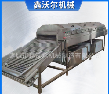 连续式速冻玉米加工设备 水果玉米深加工流水线 糯玉米清洗速冻机图4