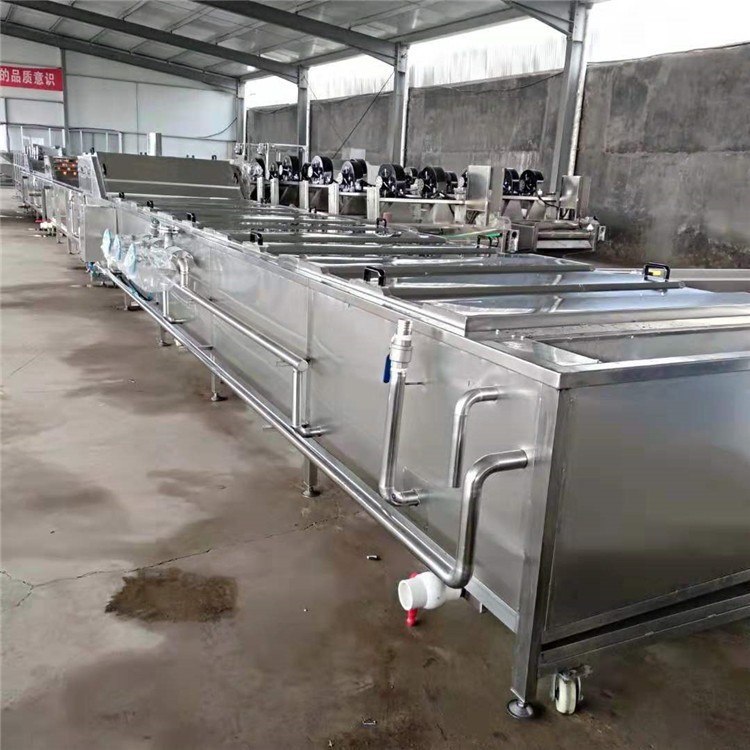 供应全自动中药材黄栀子深加工预煮漂烫机 鲜栀子杀青流水线图4