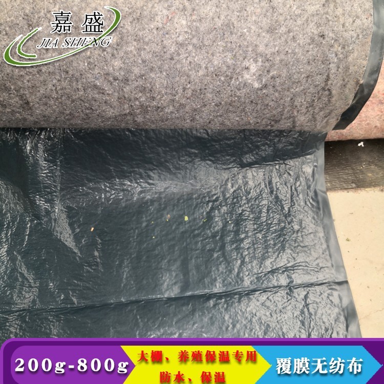 水刺无纺布 淋膜防水 防滑 厂家供应专业供应覆盖针刺防水布图3