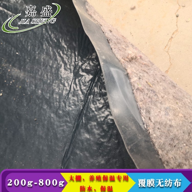 水刺无纺布 淋膜防水 防滑 厂家供应专业供应覆盖针刺防水布图4
