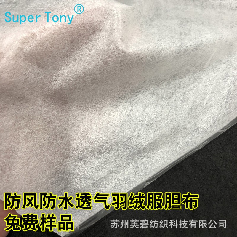 厂家直销防风防水防绒无纺布 覆膜羽绒服无纺布胆布 微弹胆布图2