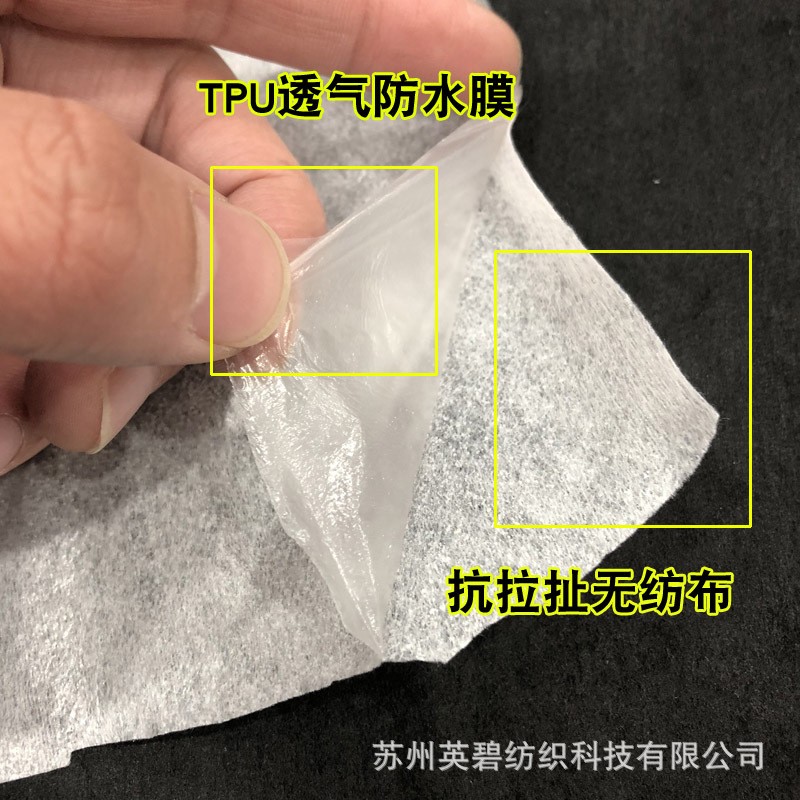 厂家直销防风防水防绒无纺布 覆膜羽绒服无纺布胆布 微弹胆布图3