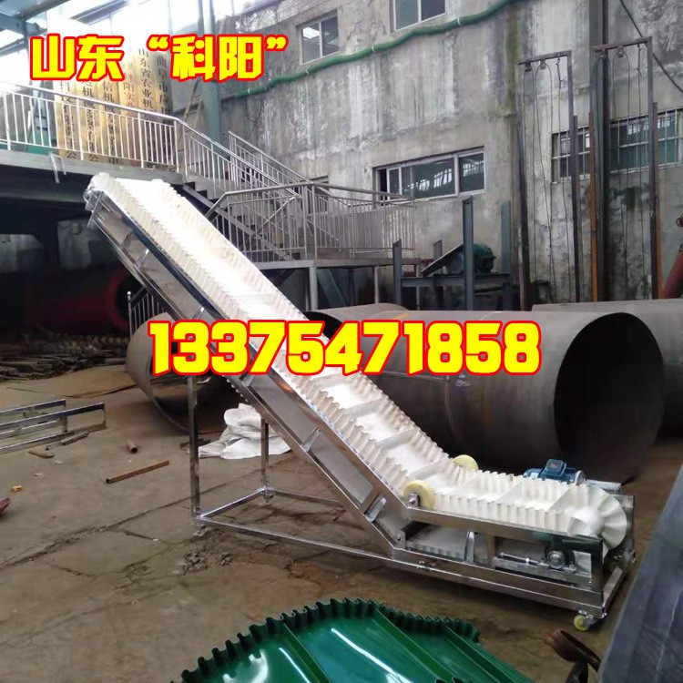 移动输送机 挡边输送带 粮食皮带输送机 升降皮带运输机1图5