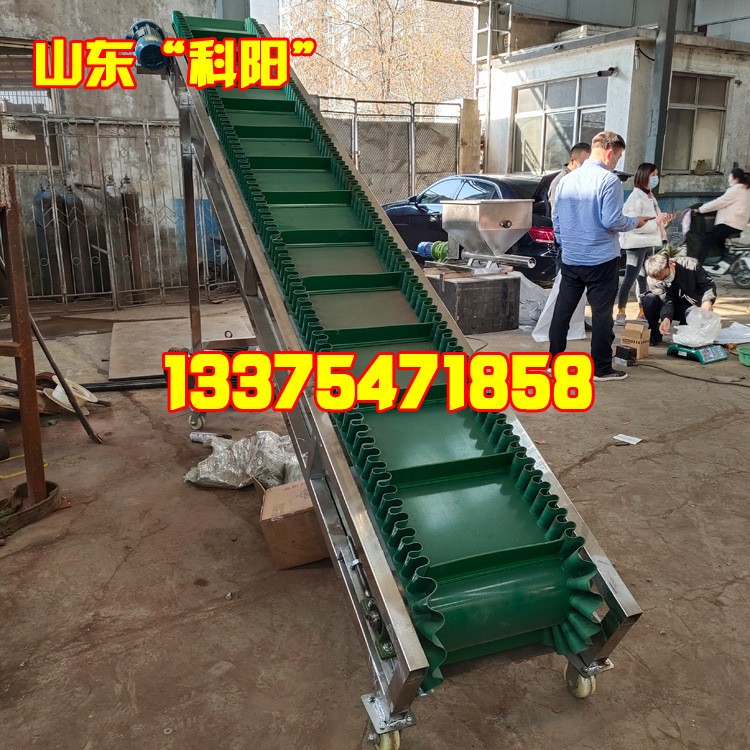 输送皮带机厂家 福来轮输送机 装卸货输送机 输送带机器 小型1图5