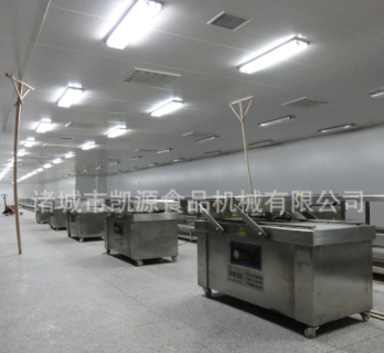 双室自动翻盖真空包装机 食品双边封口真空包装机厂家直销质量佳图4