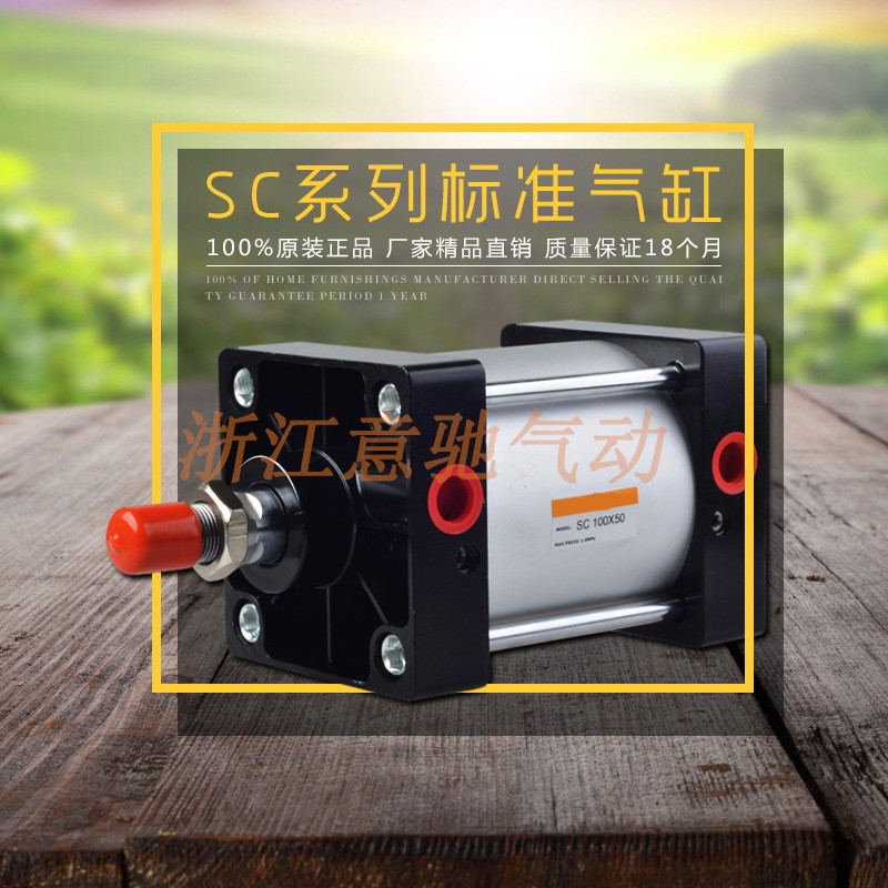 亚德客型SC80*25*100*200 标准铝合金气缸 可调带磁双出非标定制图2