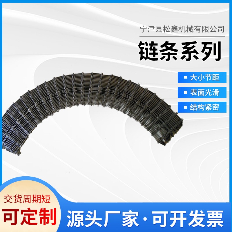 定制不锈钢链条大小节距滚珠链条耐高温转弯链条工业传动无声链条图2