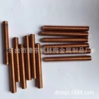 正宗T2紫铜丝杠M16*60一1000紫铜外六角双头螺母垫片U型卡非标件图3
