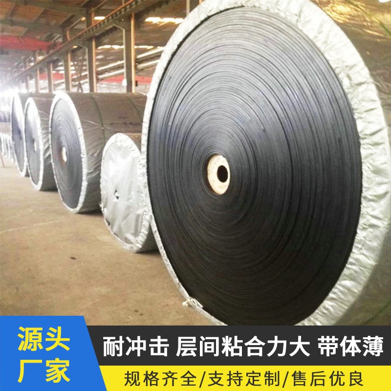 【尼龙输送带】厂家供应运输机传送带挡边大倾角橡胶输送带批发图2