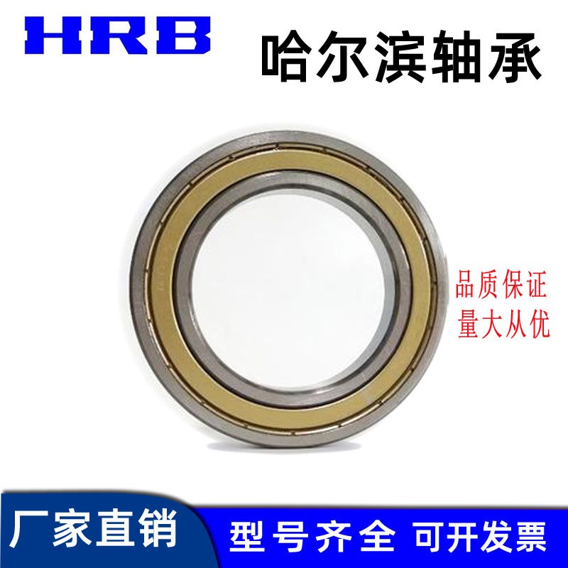 哈尔滨高精密轴承6006 6007 6008 6009-2RZ 2Z Z高速图5