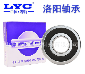 洛阳轴承 6200 201 202 203 204 205 206 RS RZ深沟球电机 轴承图3