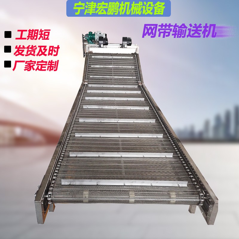 提升网带输送机 小型传送机食品输送设备 不锈钢链板上料提升机图2