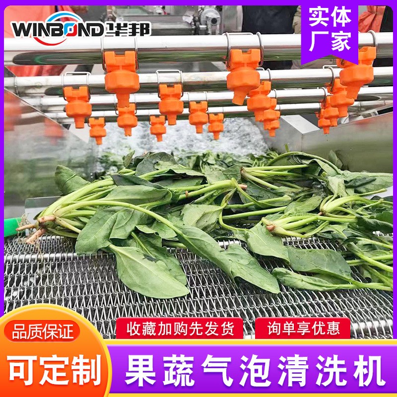 青椒辣椒清洗流水线 洗菜机 华邦全自动果蔬清洗机 厂家供应图4