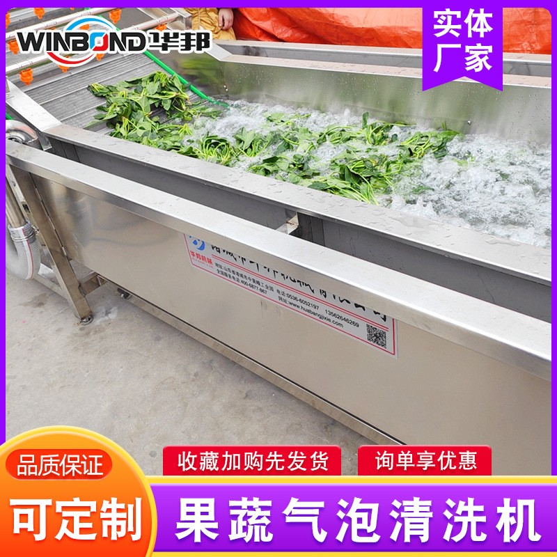 青椒辣椒清洗流水线 洗菜机 华邦全自动果蔬清洗机 厂家供应图3