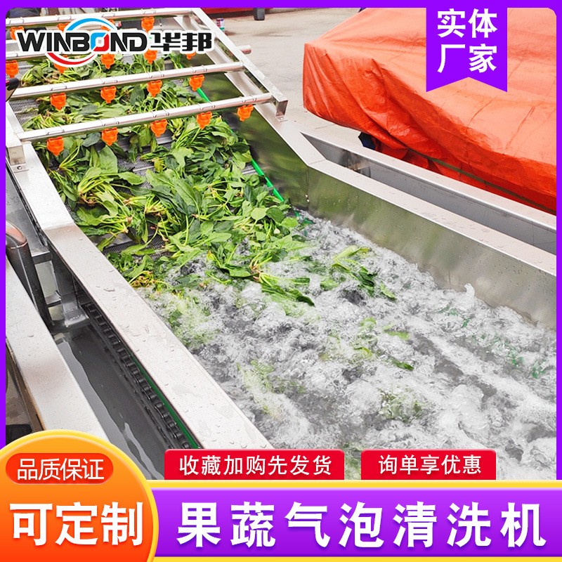 青椒辣椒清洗流水线 洗菜机 华邦全自动果蔬清洗机 厂家供应图2