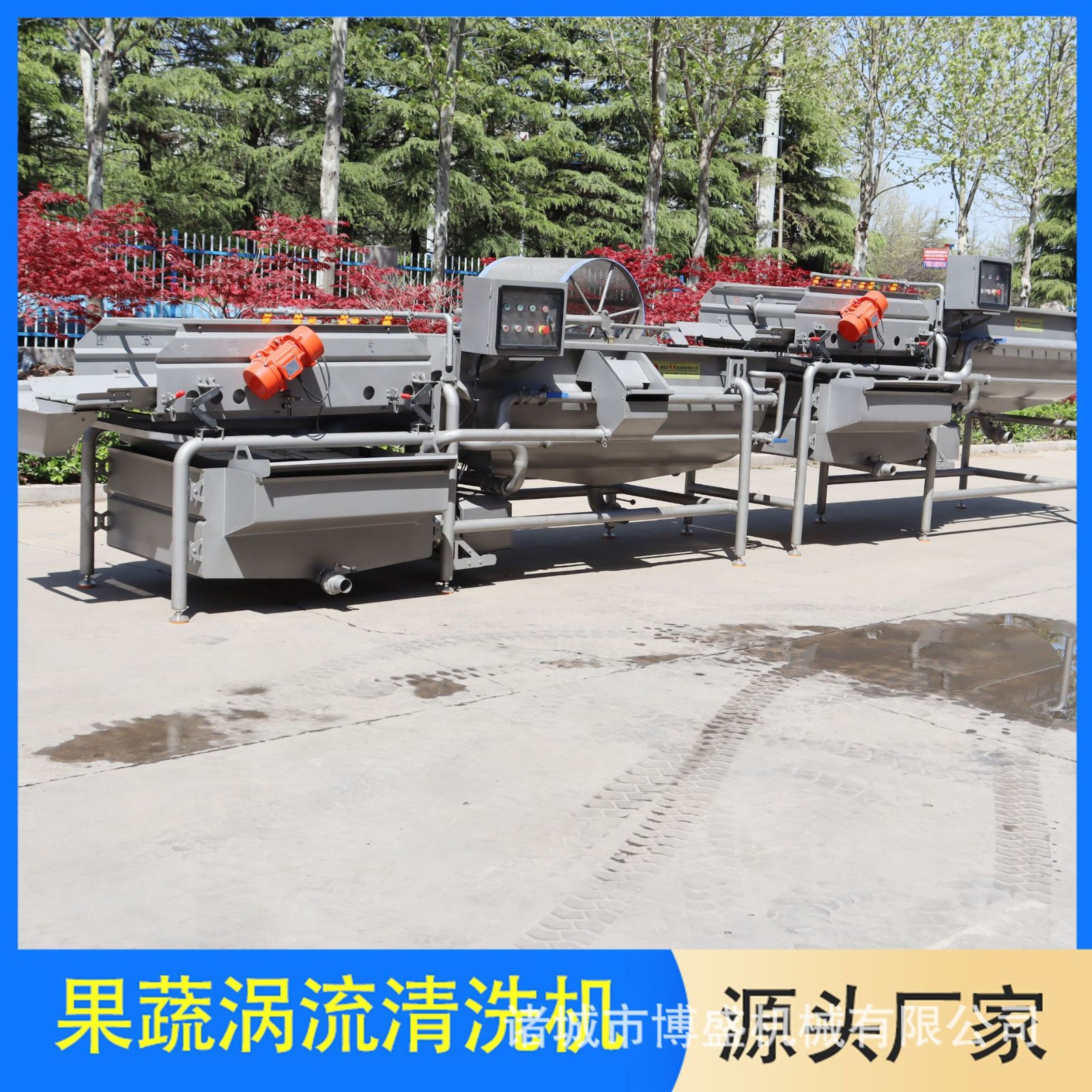 全自动蔬菜涡流清洗机 豆角旋流式涡流清洗机 枸杞连续式涡流清洗图4