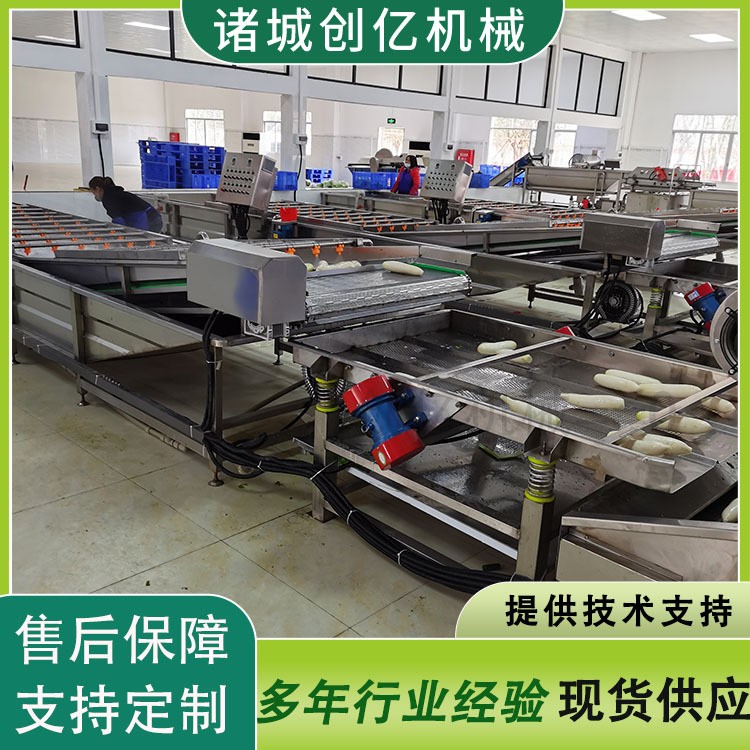 厂家果蔬气泡清洗机 土豆蔬菜水果包装袋清洗设备大型清洗机图4