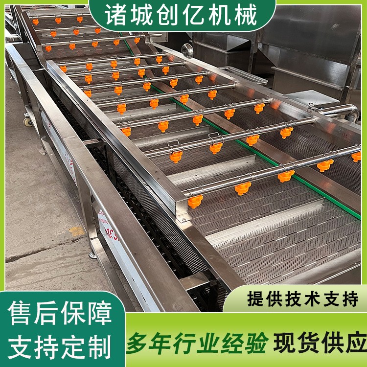 花椒八角清洗机 桂皮不锈钢链板清洗机 调理品清洗风干一体机设备图4