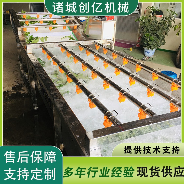 花椒八角清洗机 桂皮不锈钢链板清洗机 调理品清洗风干一体机设备图3