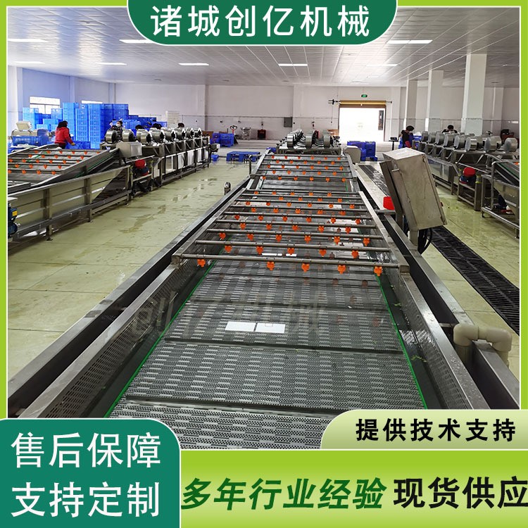 现货樱桃气泡翻浪式清洗机设备 龙眼桂圆全自动气泡喷淋清洗机图2