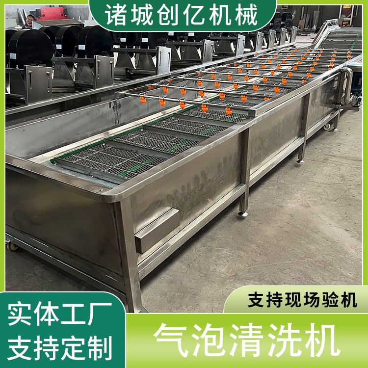 现货樱桃气泡翻浪式清洗机设备 龙眼桂圆全自动气泡喷淋清洗机图4
