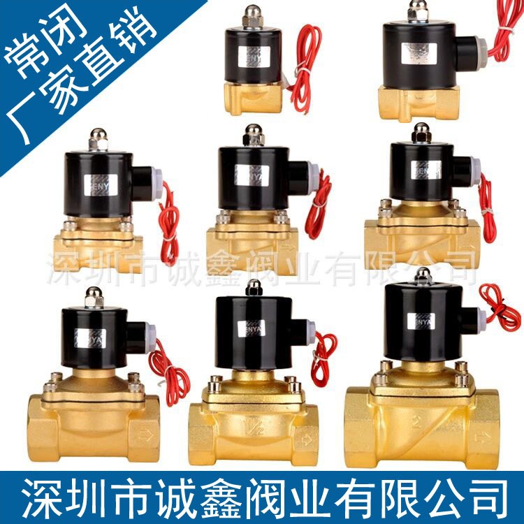 全铜电磁阀 2w常闭式水阀 纯铜线圈AC220VDC24V气阀3分4分6分 1寸图2