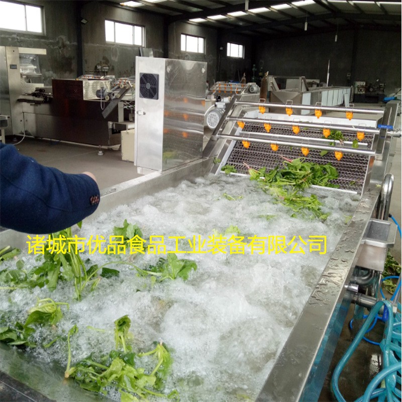 小型气泡清洗机 自动不锈钢果蔬清洗机 蔬菜 果蔬清洗机图2