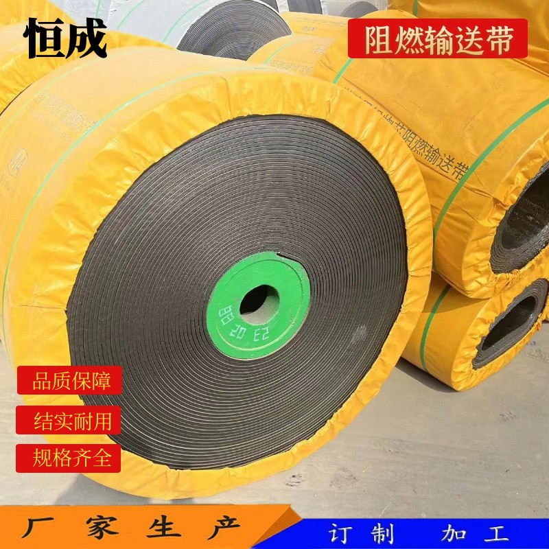 厂家生产 PVC/PVG整芯 阻燃输送带 耐高温 煤矿井下用 橡胶输送带图4