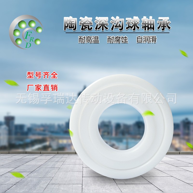 氧化锆全陶瓷轴承 6005 陶瓷深沟球轴承 陶瓷轴承 厂家直销图4