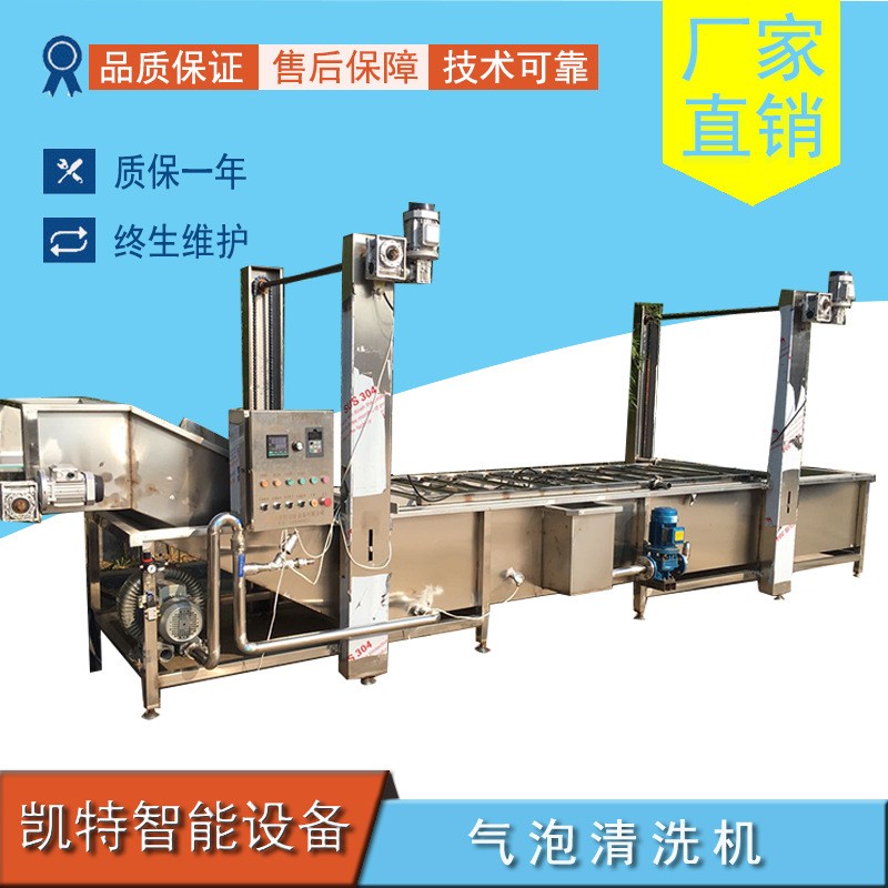 艾草清洗机葡萄干清洗机萝卜加工全套设备厂家销售支持定制图2