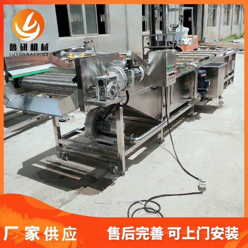 鲁研牌多功能菠菜气泡清洗机 可提升中药材清洗设备 三七清洗机图3