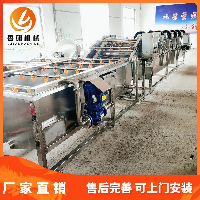 多功能气泡粽叶清洗机 红枣气泡清洗机 薄荷叶清洗设备厂供应图3