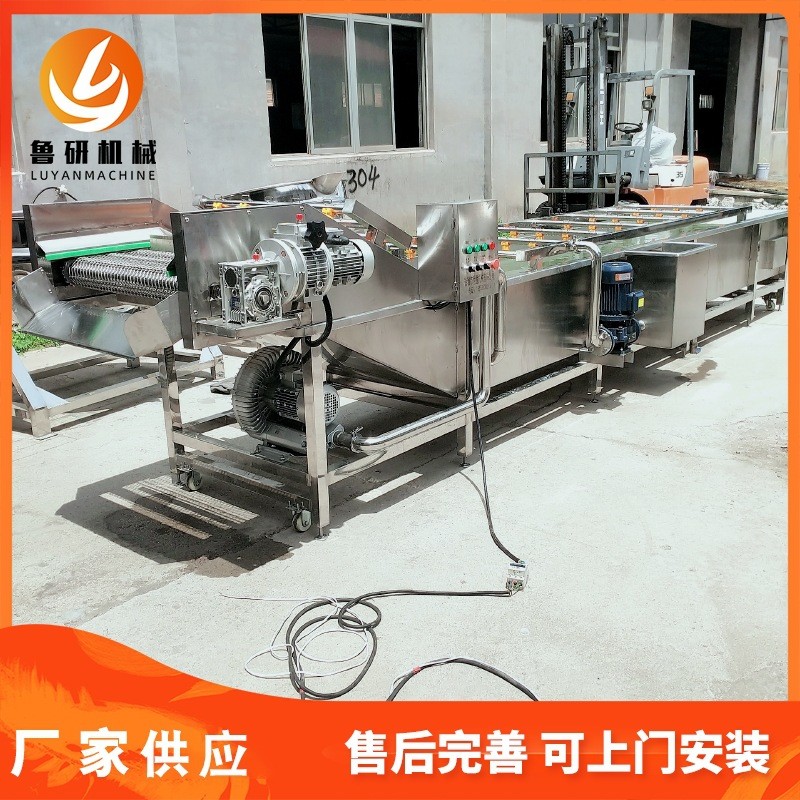 供应香肠气泡清洗机 鼓泡果蔬清洗机厂家 大枣清洗机价格图2