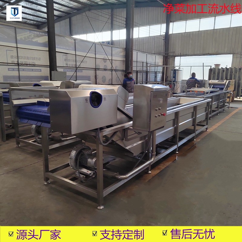 蔬菜气泡清洗机 多功能酱腌菜脱盐机 酸菜喷淋清洗机器图2