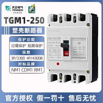 天正塑料外壳式断路器TGM1-250L/3300三相三线四线250A空气开关 2个起批