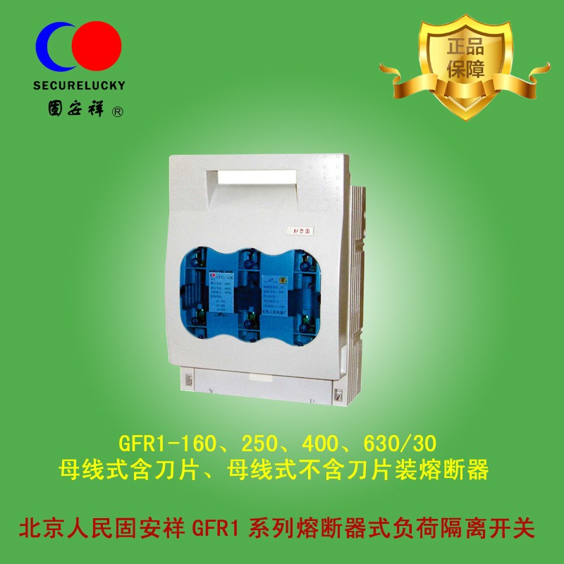 北京人民固安祥GFR1系列熔断器式负荷隔离开关 母线式 挂接式图2