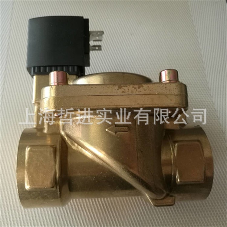 BONDON电磁阀2252020-14.1230蒸汽阀 批发图2