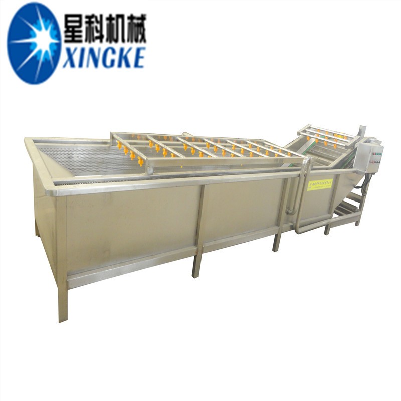 星科供应 洗鱼机 洗菜设备 洗水果洗贝壳类 气泡清洗机带去沫图5
