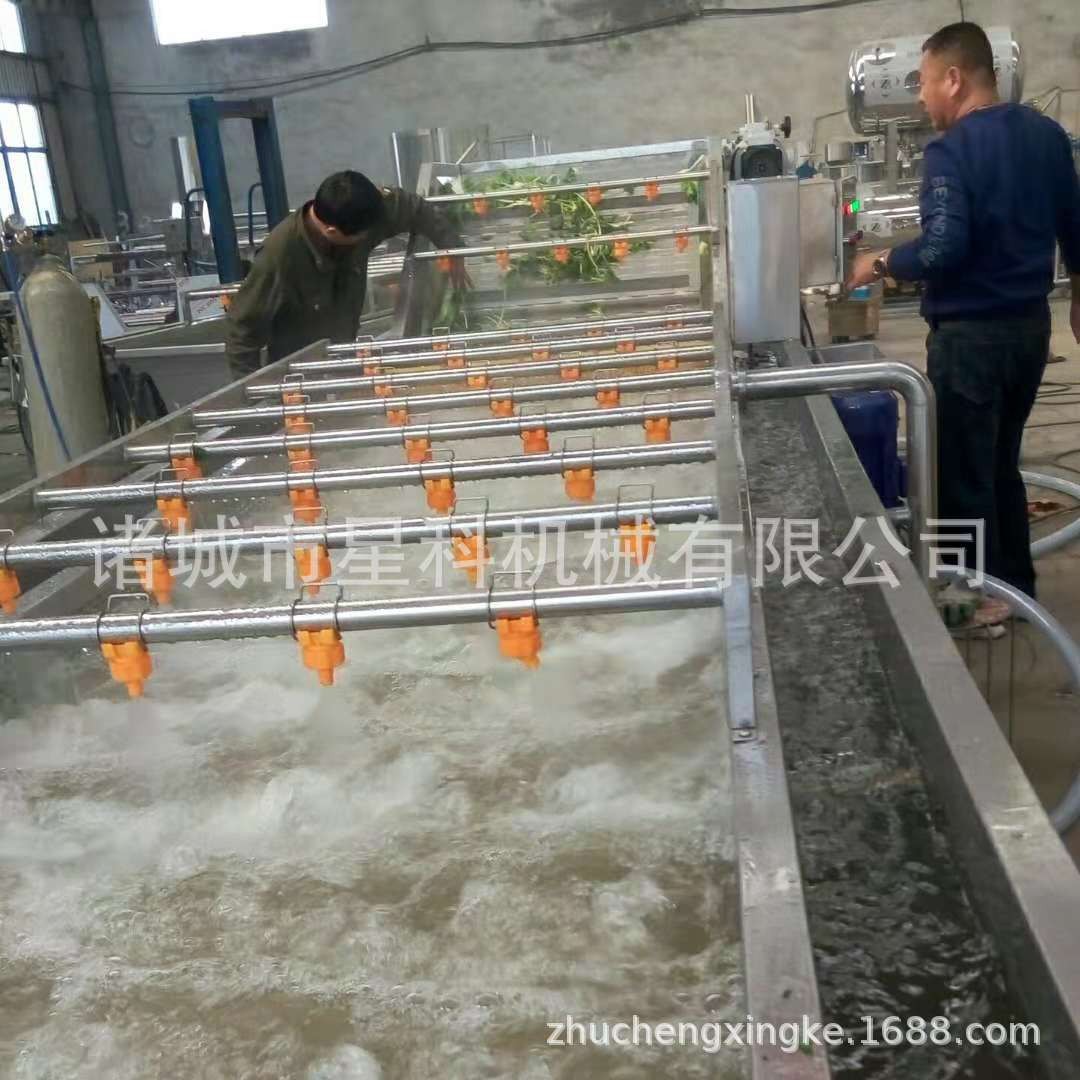 星科供应 洗鱼机 洗菜设备 洗水果洗贝壳类 气泡清洗机带去沫图4