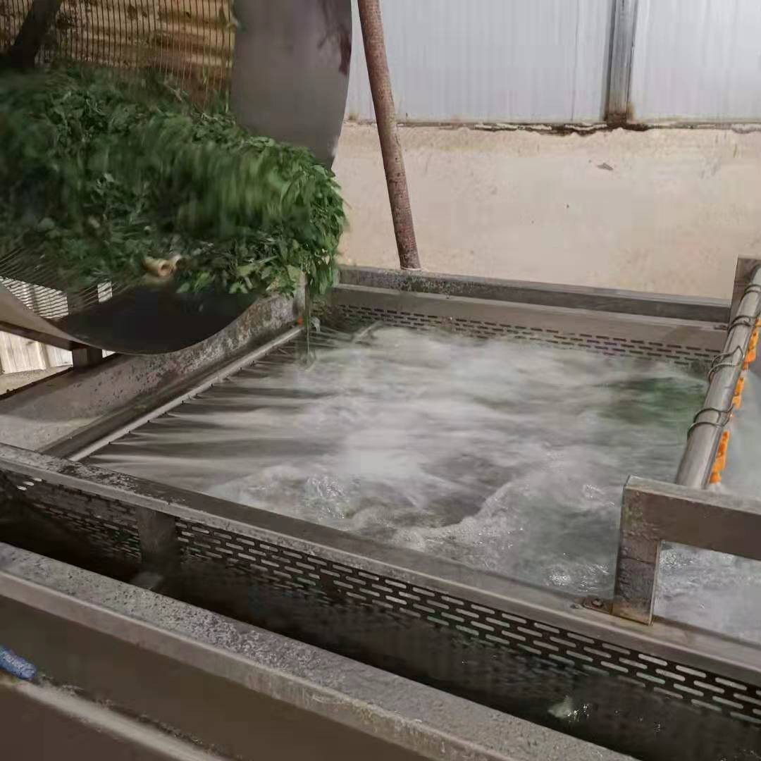 星科供应 橙子抛光打蜡设备 莲藕去皮清洗设备 绿豆芽清洗设备图4