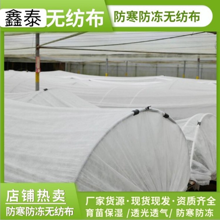 育苗大棚布植物盖防冻罩农业用pp纺粘无纺布防霜冻保温防寒无纺布