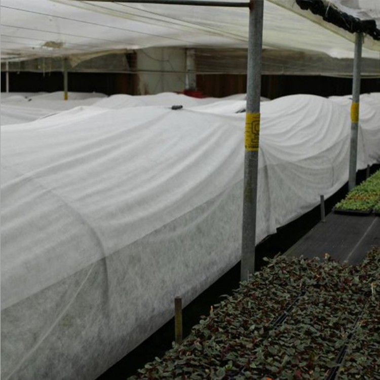 育苗大棚布植物盖防冻罩农业用pp纺粘无纺布防霜冻保温防寒无纺布图2