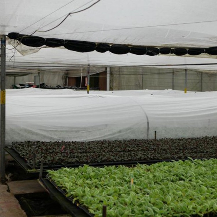 育苗大棚布植物盖防冻罩农业用pp纺粘无纺布防霜冻保温防寒无纺布图3