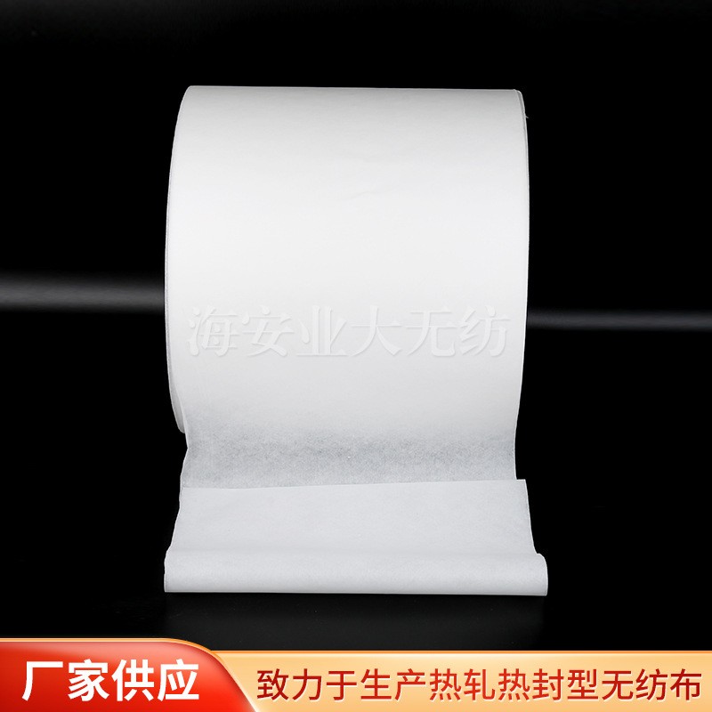 热封型无纺布 批发DE40克包装颗粒物透明无纺布图2
