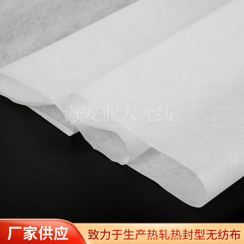 热封型无纺布 批发DE40克包装颗粒物透明无纺布图3
