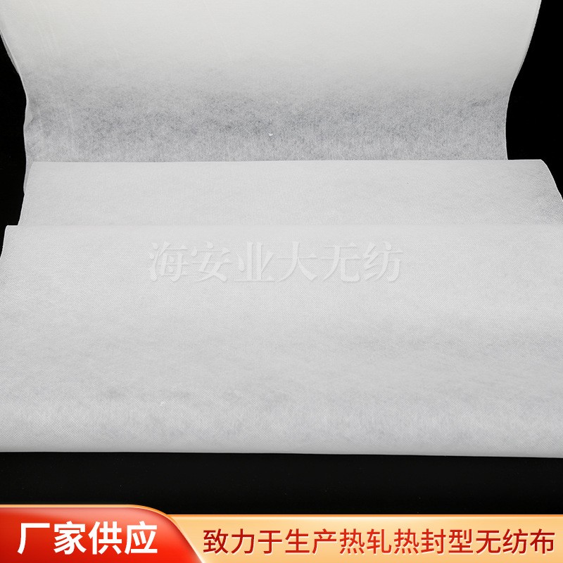 热封型无纺布 批发DE40克包装颗粒物透明无纺布图4