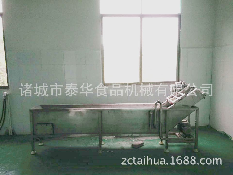 小型番茄气泡清洗机 番茄西红柿小型清洗设备 蔬菜泥土表面清洗图2